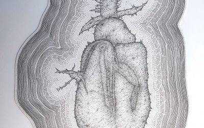 FRA-PAI-11_Pomme de Terre en complète cicatrisation…