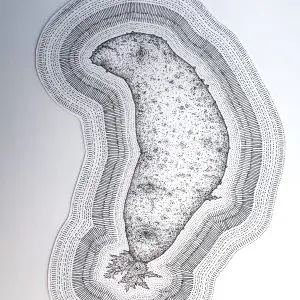 FRA-PAI-10_Pomme de Terre en lune comme surprise