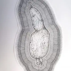 FRA-PAI-09_Pomme de Terre probablement dotée d'une grande tendresse...