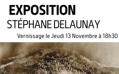 Stéphane Delaunay expose à Angers du 13/11 au 19/12/2025.