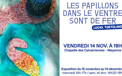 Exposition Lucas Tortolano à Mayenne.