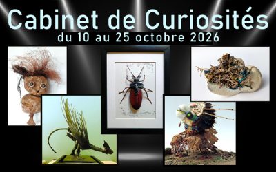 Un « Cabinet de Curiosités » s&rsquo;ouvre à la Maison Rigolote du 10 au 25 octobre avec 5 artistes.